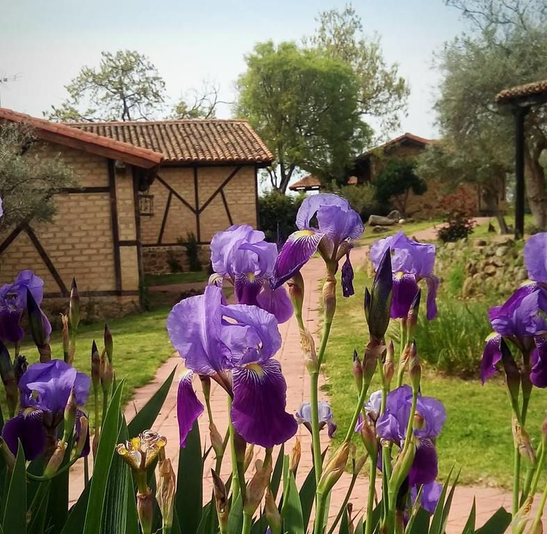Hotel Rural Hosteria Fontivieja Losar De La Vera Buitenkant foto